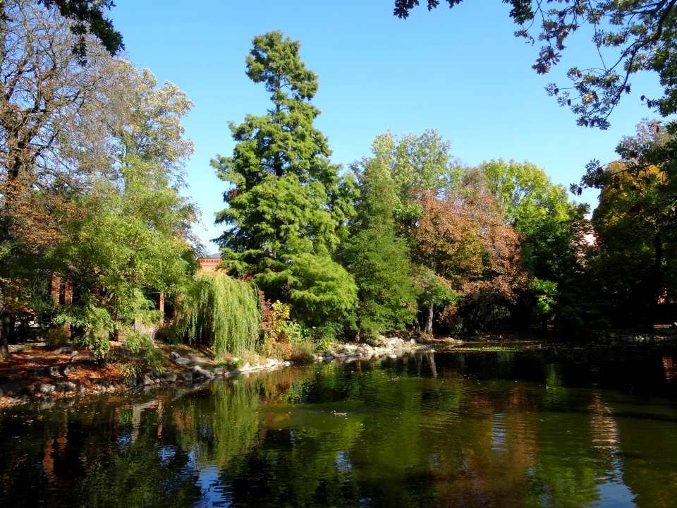 Bdg KazimierzWielki park 10-18 2