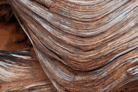Wood texture background pattern timber photo