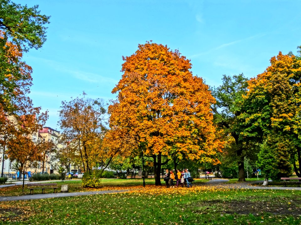 Bdg parkKochanowskiego 6 10-2013