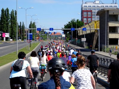 Bdg IV rajd JPII 5 6-2016