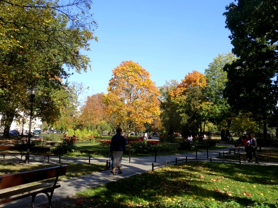 Bdg JanKochanowski park 10-18 3