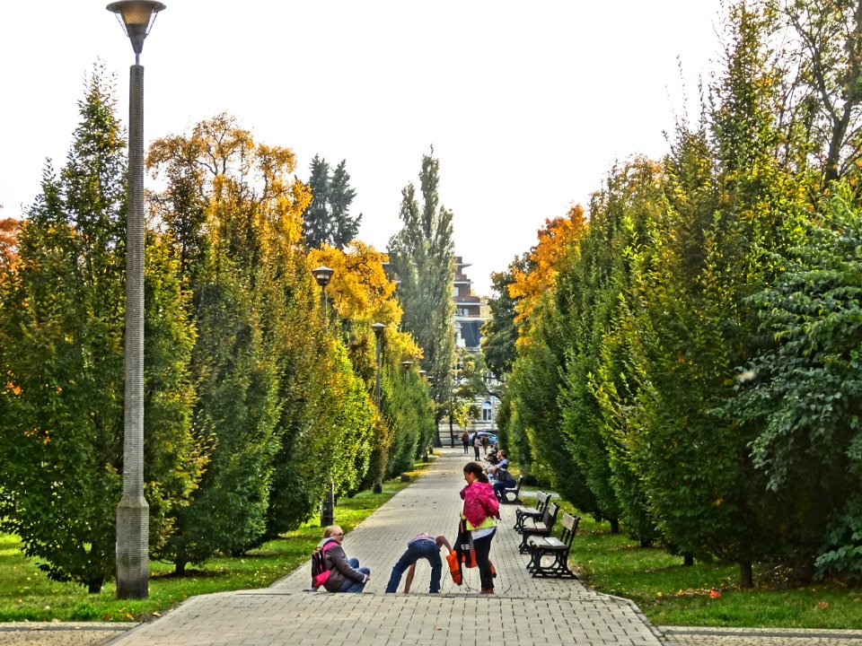 Bdg parkLudowy 3 10-2013