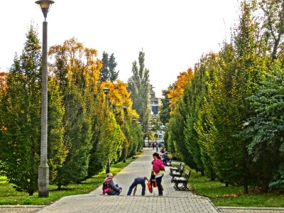 Bdg parkLudowy 3 10-2013