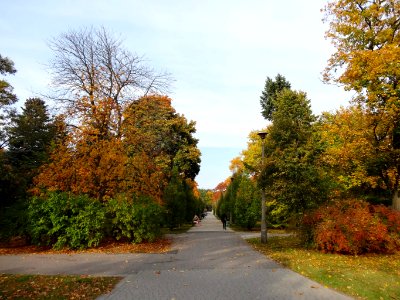 Bdg parkLudowy 7 10-2013