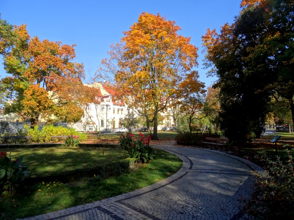 Bdg JanKochanowski park 10-18 4