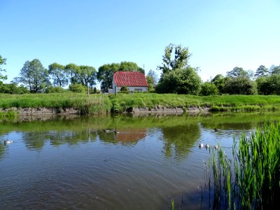 Bdg Kanal Bydgoski 6 5-2015