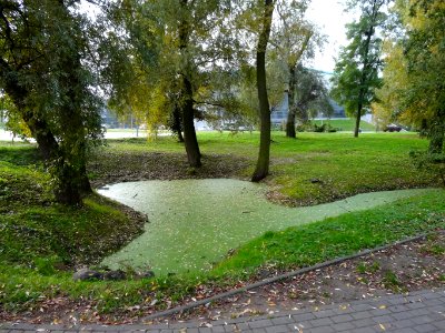 Bdg parkCentralny 12 10-2013