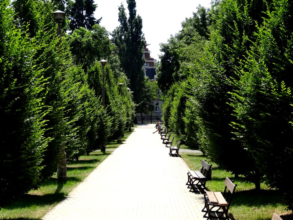 Bdg parkLudowy 3 07-2013