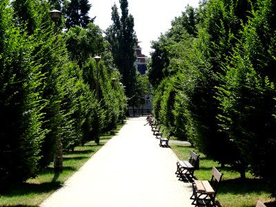 Bdg parkLudowy 3 07-2013