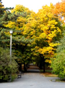 Bdg parkLudowy 12 10-2013