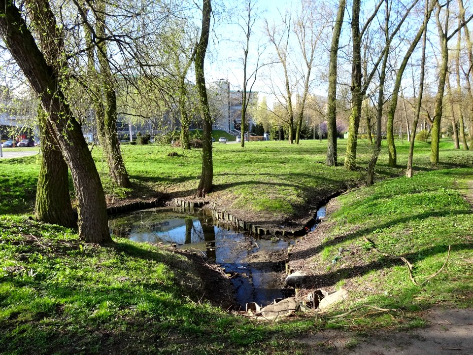 Bdg parkCentralny 6 5-2015