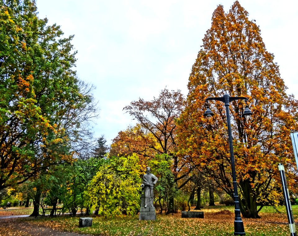 Bdg parkKochanowskiego posag 9 10-2013