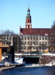 Bdg jaz Ulgowy 03-2013c