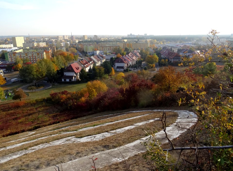 Bdg GSzybownikow znak10-18 a1