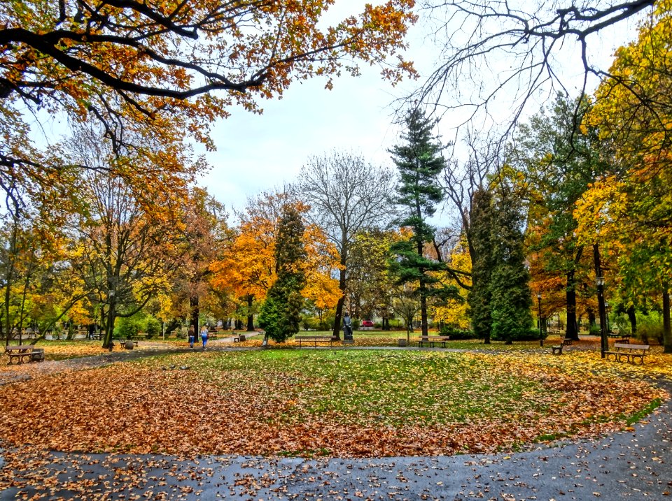 Bdg parkKochanowskiego a 4 10-2013