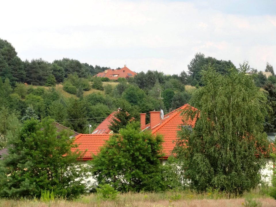 Bdg Oplawiec 4 07-2014