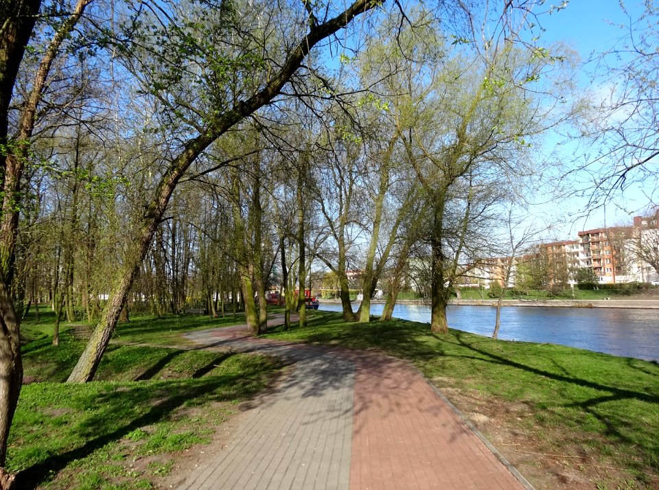 Bdg parkCentralny 5 5-2015