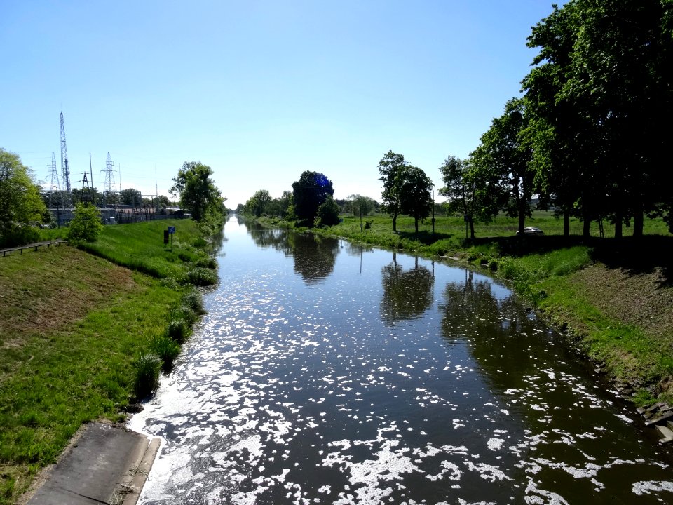Bdg Kanal Bydgoski 16 5-2015