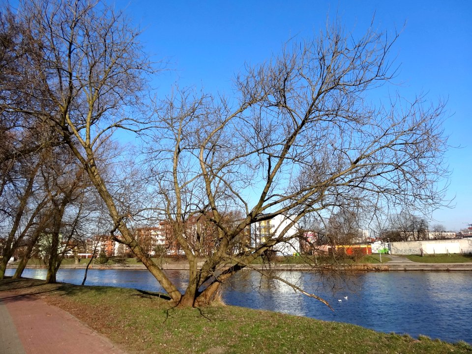 Bdg park Centralny3 3-2015