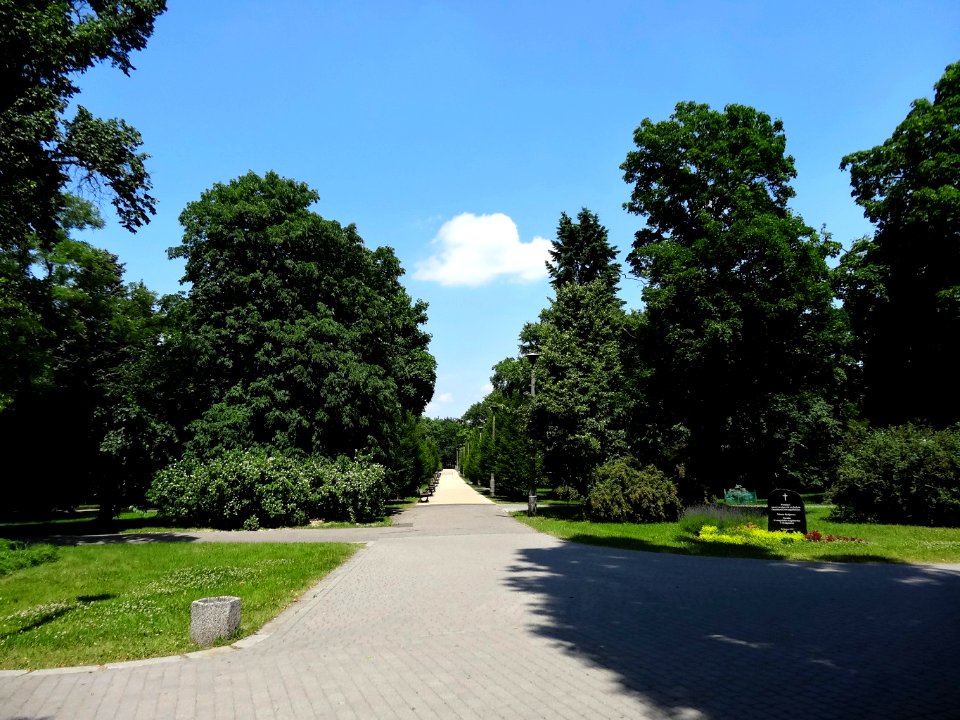 Bdg parkLudowy 6 07-2013