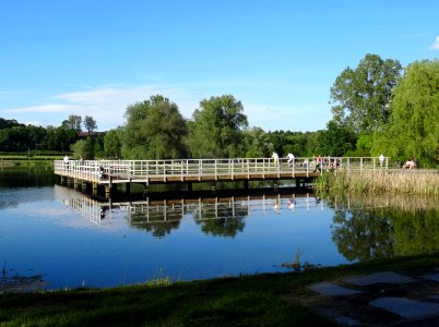 Bdg LKPiW Myslecinek pond1 6-2017