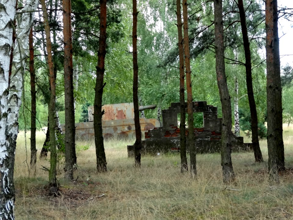 Bdg Las jachcicki strzelnica 5 08-2014