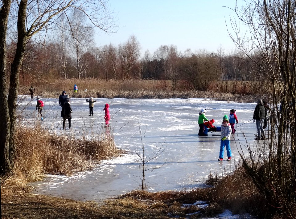 Bdg LKPiW ponds winter2 2-2017