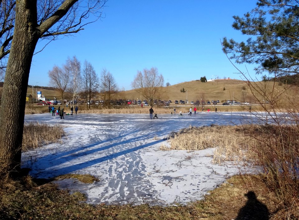 Bdg LKPiW ponds winter4 2-2017