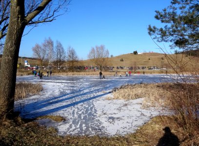 Bdg LKPiW ponds winter4 2-2017