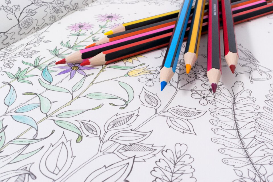 Colorful creativity sketch