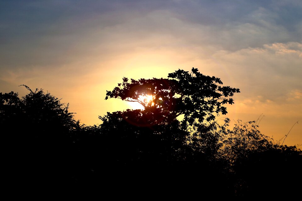 Nature sky summer