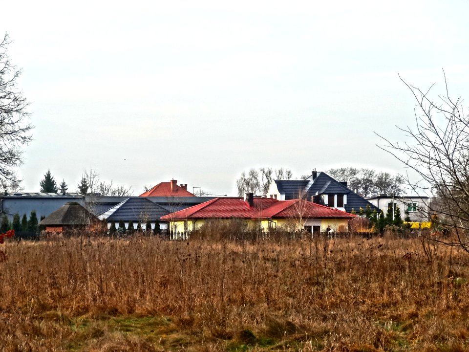 Bdg Glinki 1 01-2014