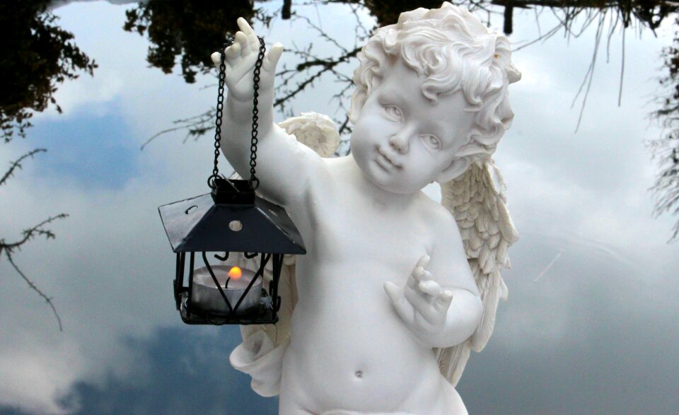 Angel wings angel face sweet