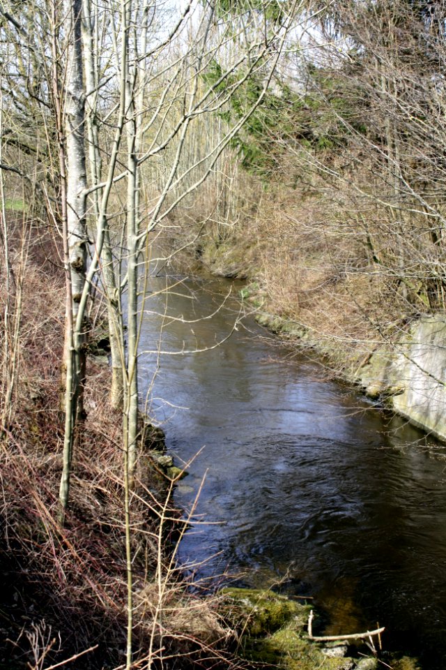 Baindlhof Ost-Ettringen (07)