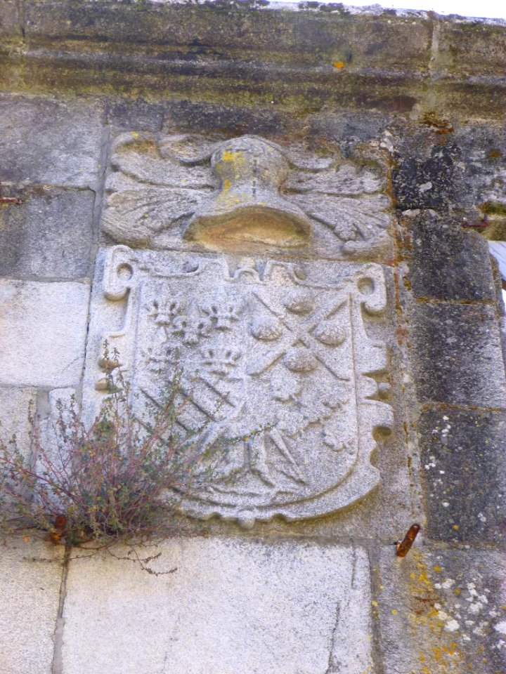 Baiona 16