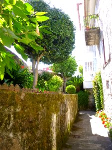 Baiona 14