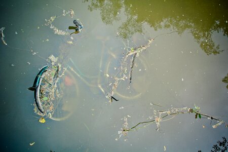 Münster aa sunk
