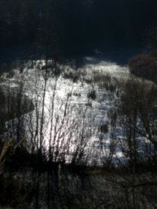 Baggersee Truderinger Wald