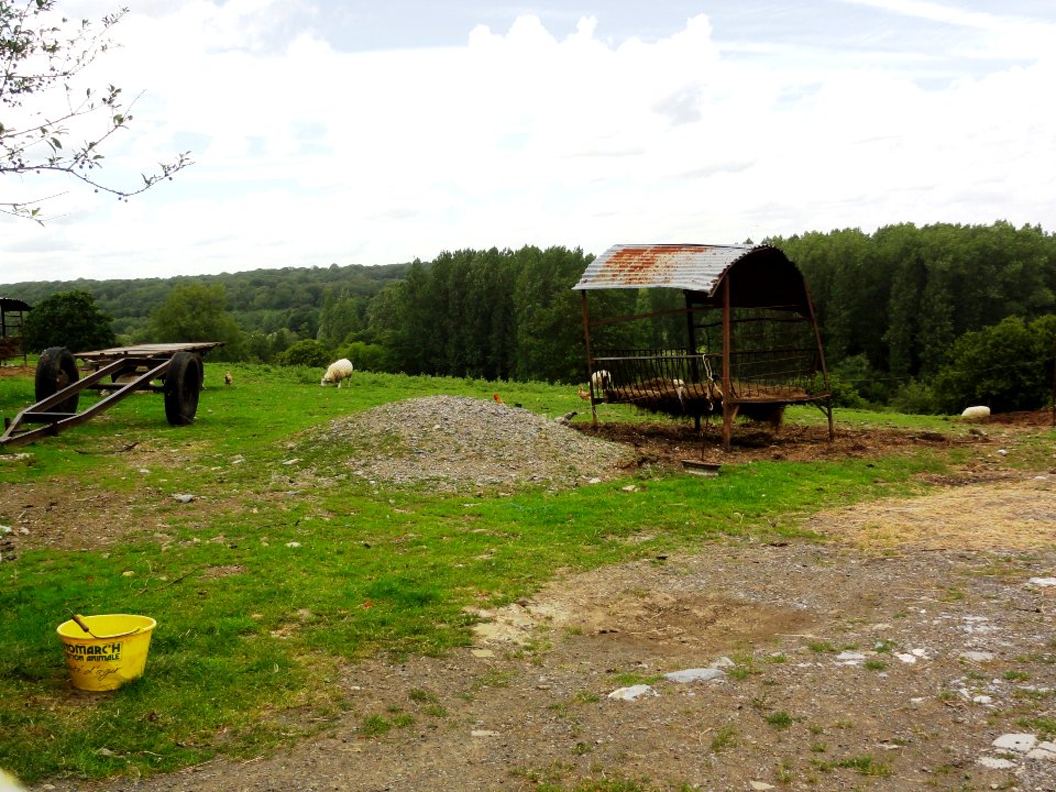 Baives (Nord, Fr) paysage avec vue sur la forêt de Trélon