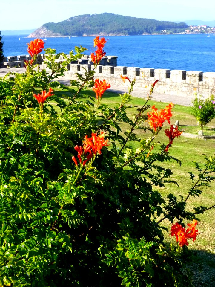 Baiona - Fortaleza de Monterreal 24