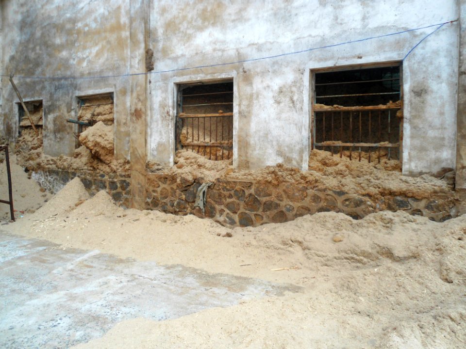 Bagasse in Hainan - 03