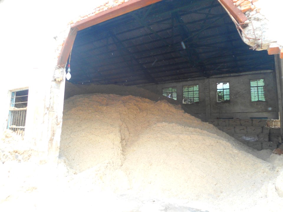 Bagasse in Hainan - 04