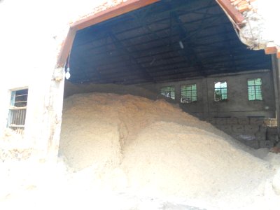 Bagasse in Hainan - 04