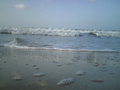 Bahia de Plata 534