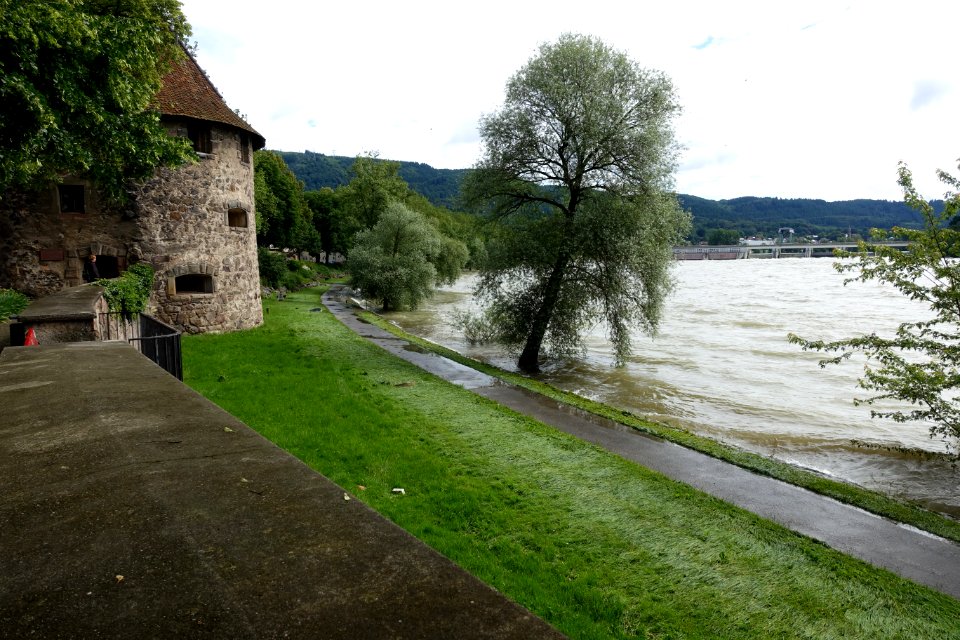 Bad Säckingen Rheinhochwasser Juni 2016 01