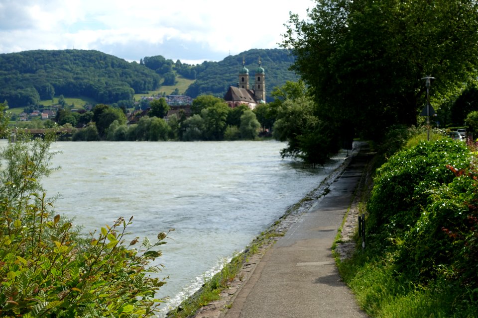 Bad Säckingen Rheinhochwasser Juni 2016 04