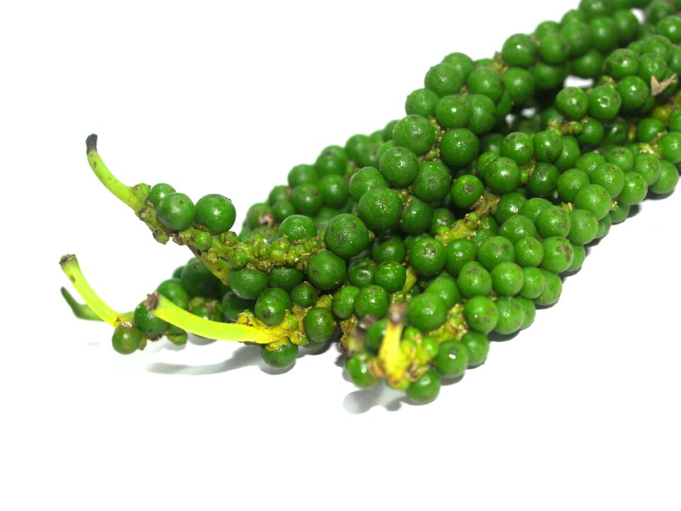 Black black pepper circle
