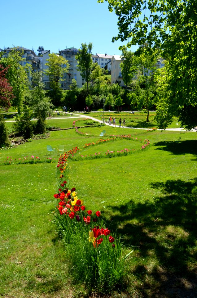 Bad Schwalbach, Landesgartenschau 2018, Tulpen
