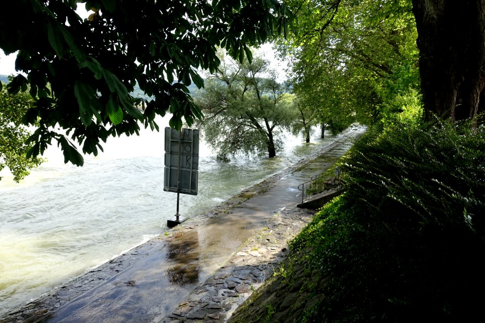 Bad Säckingen Rheinhochwasser Juni 2016 06