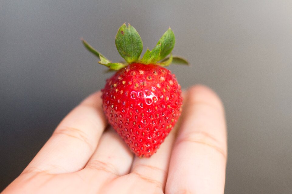 Hand holding red ripe